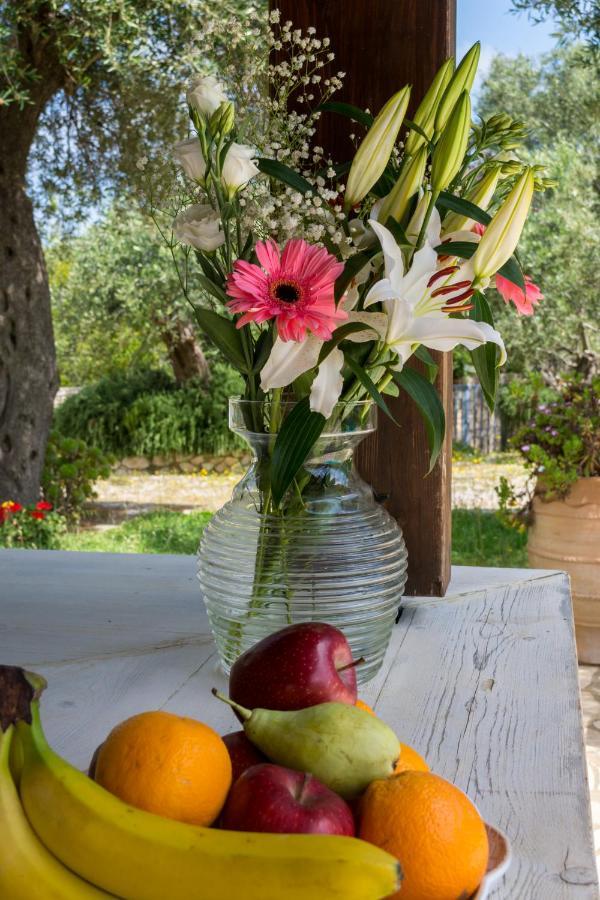 Villa Elaia Suites & Apartments No.7 Gaios Dış mekan fotoğraf