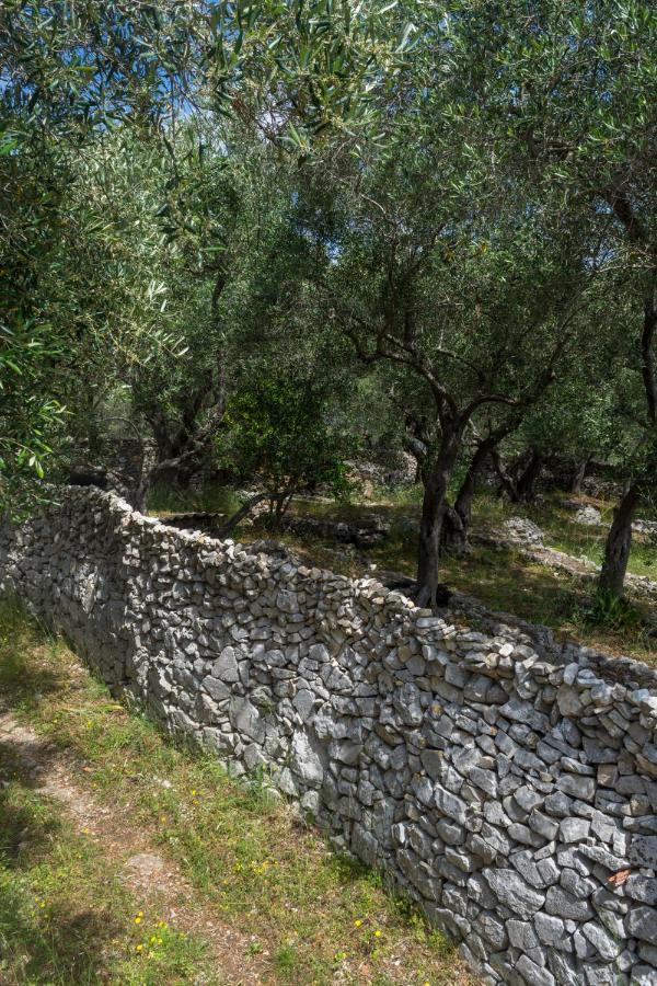 Villa Elaia Suites & Apartments No.7 Gaios Dış mekan fotoğraf