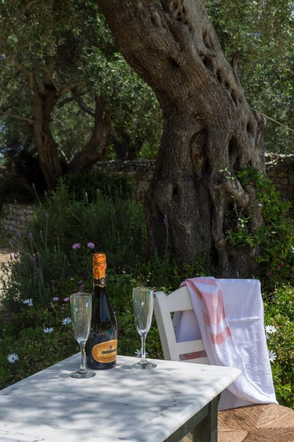 Villa Elaia Suites & Apartments No.7 Gaios Dış mekan fotoğraf